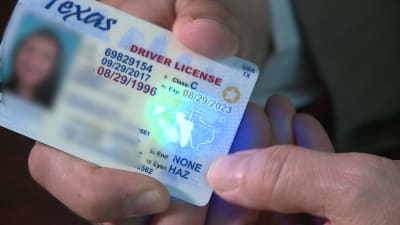 Hyde Park Cafe Fake Id